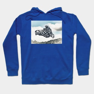 Hands in the Sky Hoodie